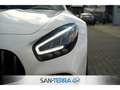 Mercedes-Benz AMG GT ROADSTER PERFORMANCE EXKLUSIV DESIGNO CARBON*COMAN Blanco - thumbnail 14