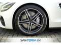 Mercedes-Benz AMG GT ROADSTER PERFORMANCE EXKLUSIV DESIGNO CARBON*COMAN White - thumbnail 13