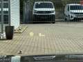 BMW 435 i Cabrio Leder Head-up Hifi LED Braun - thumbnail 19