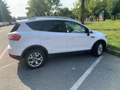 Ford Kuga Kuga I 2009 2.0 tdci Titanium 4wd 163cv Blanc - thumbnail 3