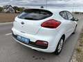 Kia ProCeed / pro_cee'd pro cee'd 1,4 MPI CVVT Cool Österreich Paket Weiß - thumbnail 5
