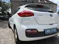 Kia ProCeed / pro_cee'd pro cee'd 1,4 MPI CVVT Cool Österreich Paket Weiß - thumbnail 12