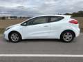 Kia ProCeed / pro_cee'd pro cee'd 1,4 MPI CVVT Cool Österreich Paket Weiß - thumbnail 9