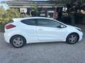 Kia ProCeed / pro_cee'd pro cee'd 1,4 MPI CVVT Cool Österreich Paket Weiß - thumbnail 3