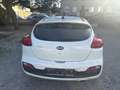 Kia ProCeed / pro_cee'd pro cee'd 1,4 MPI CVVT Cool Österreich Paket Weiß - thumbnail 5