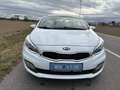 Kia ProCeed / pro_cee'd pro cee'd 1,4 MPI CVVT Cool Österreich Paket Weiß - thumbnail 2