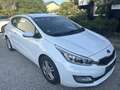 Kia ProCeed / pro_cee'd pro cee'd 1,4 MPI CVVT Cool Österreich Paket Weiß - thumbnail 1