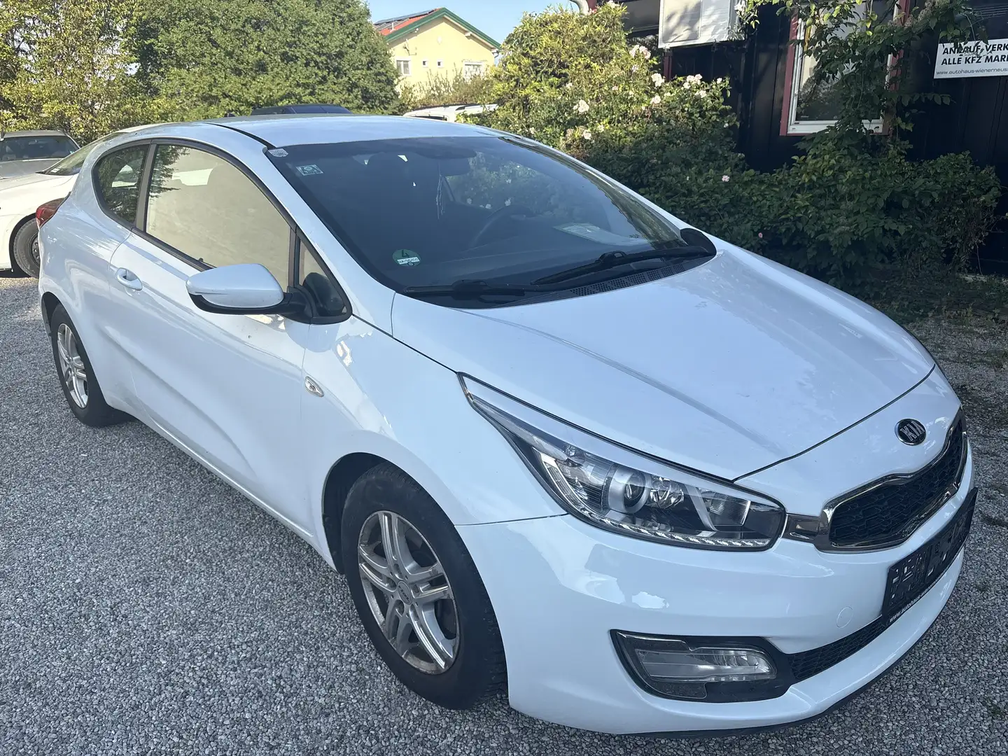 Kia ProCeed / pro_cee'd pro cee'd 1,4 MPI CVVT Cool Österreich Paket Weiß - 1