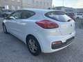 Kia ProCeed / pro_cee'd pro cee'd 1,4 MPI CVVT Cool Österreich Paket Weiß - thumbnail 6