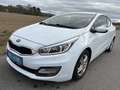 Kia ProCeed / pro_cee'd pro cee'd 1,4 MPI CVVT Cool Österreich Paket Weiß - thumbnail 1