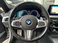 BMW 530 e PHEV iPerformance Stdhzg Distr Navi RKam Blanco - thumbnail 11