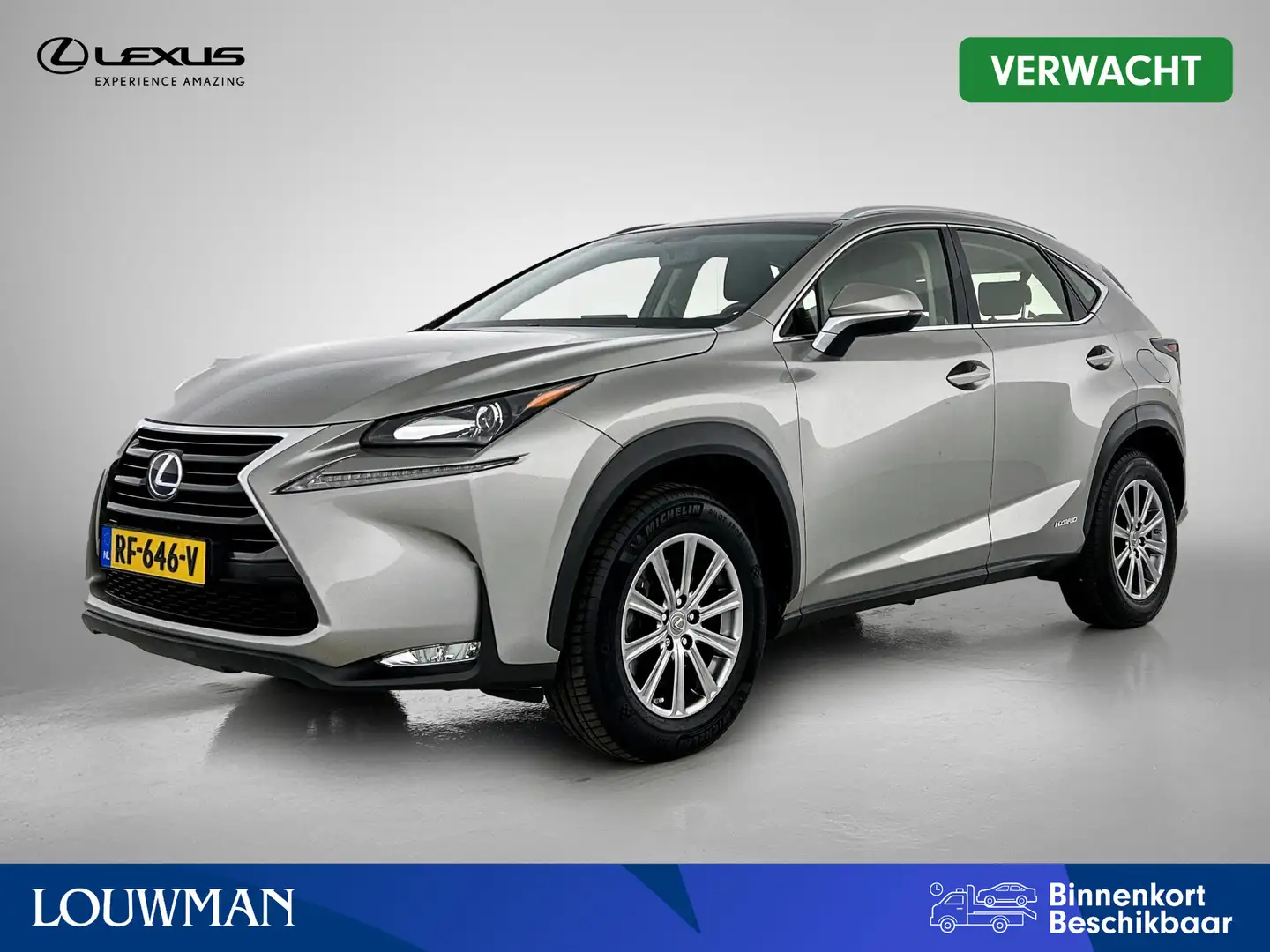 Lexus NX 300h AWD Business Line Limited | Navigatie | Leder | St Grijs - 1
