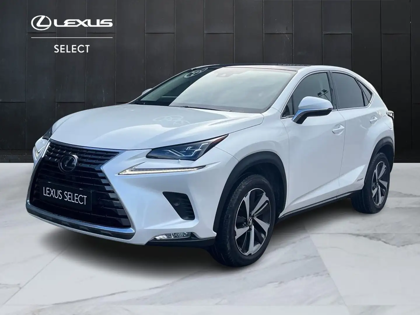 Lexus NX 300h NX 300h 2.5 Luxury 4wd cvt IVA ESPOSTA White - 1