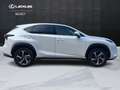 Lexus NX 300h NX 300h 2.5 Luxury 4wd cvt IVA ESPOSTA White - thumbnail 4