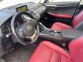 Lexus NX 300h NX 300h 2.5 Luxury 4wd cvt IVA ESPOSTA White - thumbnail 7