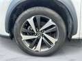Lexus NX 300h NX 300h 2.5 Luxury 4wd cvt IVA ESPOSTA White - thumbnail 14
