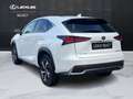 Lexus NX 300h NX 300h 2.5 Luxury 4wd cvt IVA ESPOSTA White - thumbnail 5