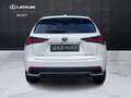 Lexus NX 300h NX 300h 2.5 Luxury 4wd cvt IVA ESPOSTA White - thumbnail 12