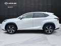 Lexus NX 300h NX 300h 2.5 Luxury 4wd cvt IVA ESPOSTA White - thumbnail 3