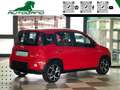 Fiat Panda 1.0 FireFly S&S Hybrid Sport Rosso - thumbnail 4
