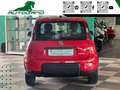 Fiat Panda 1.0 FireFly S&S Hybrid Sport Rosso - thumbnail 12