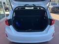 Ford Fiesta 1.5 EcoBlue 5 porte Plus Bianco - thumbnail 9