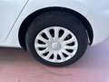 Ford Fiesta 1.5 EcoBlue 5 porte Plus Bianco - thumbnail 10