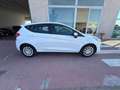 Ford Fiesta 1.5 EcoBlue 5 porte Plus Bianco - thumbnail 8