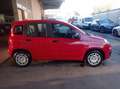 Fiat Panda 1.0 firefly hybrid Icon s&s 70cv 5p.ti Красный - thumbnail 4