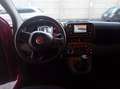 Fiat Panda 1.0 firefly hybrid Icon s&s 70cv 5p.ti Красный - thumbnail 13