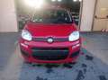 Fiat Panda 1.0 firefly hybrid Icon s&s 70cv 5p.ti Красный - thumbnail 1