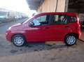 Fiat Panda 1.0 firefly hybrid Icon s&s 70cv 5p.ti Красный - thumbnail 5