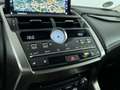 Lexus NX 300h AWD President Line, Electr. Schuif/kanteldak! Zwart - thumbnail 22