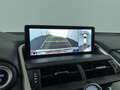 Lexus NX 300h AWD President Line, Electr. Schuif/kanteldak! Zwart - thumbnail 21