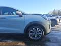 Ford Puma Titanium 1,0L Eboost Hybrid 125PS M FWD Grau - thumbnail 8