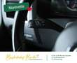 Volkswagen T5 Multivan Special DSG BiXenon Standheizung AHK Beige - thumbnail 15