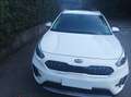 Kia Niro 1.6 gdi hev Style s/Techno Pack dct - thumbnail 1