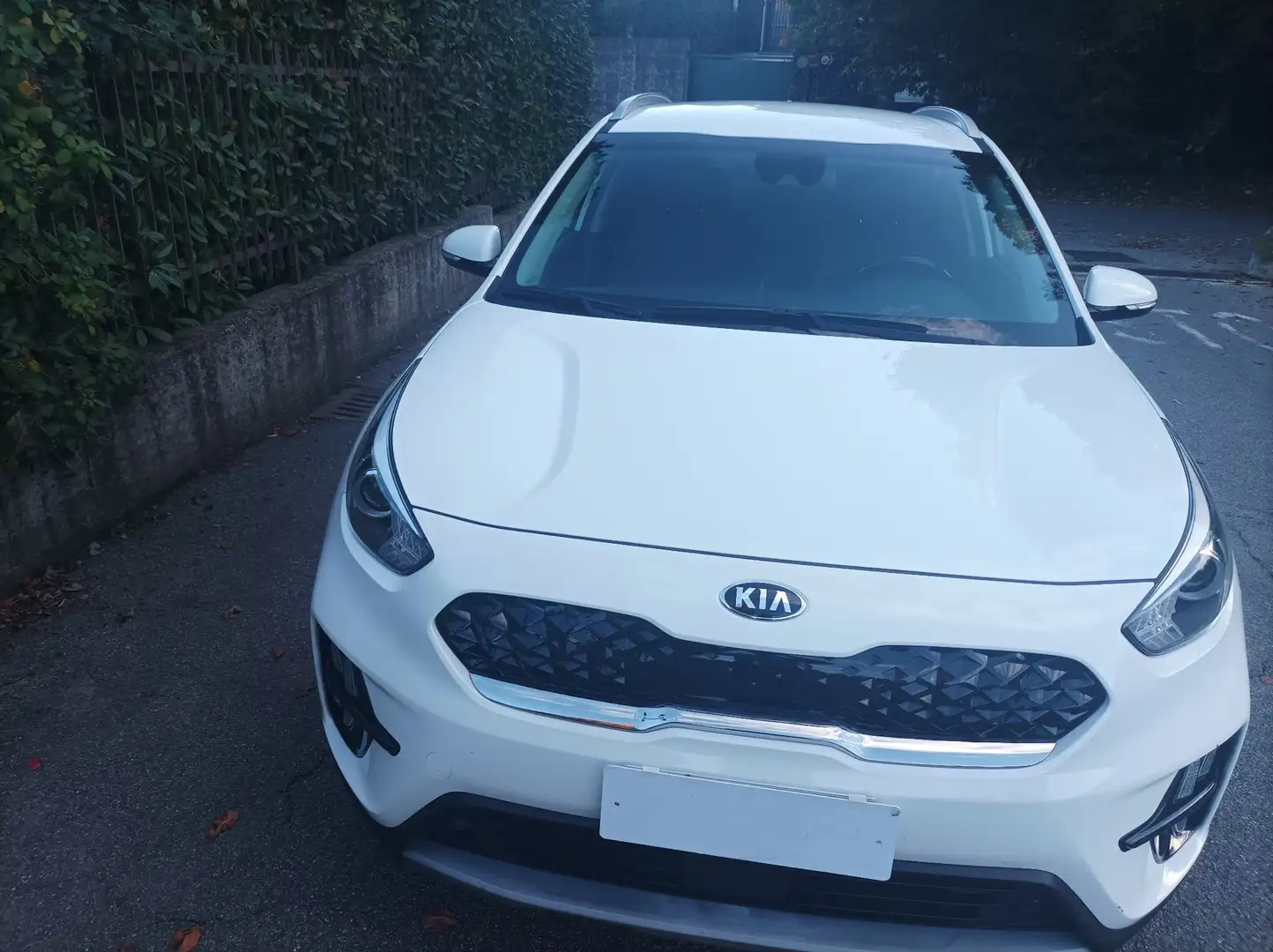 Kia Niro 1.6 gdi hev Style s/Techno Pack dct - 1