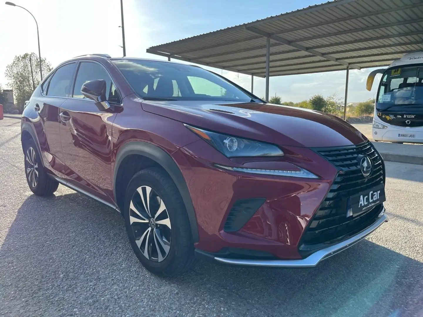 Lexus NX 300h 2.5 Premium 2WD Mauve - 2