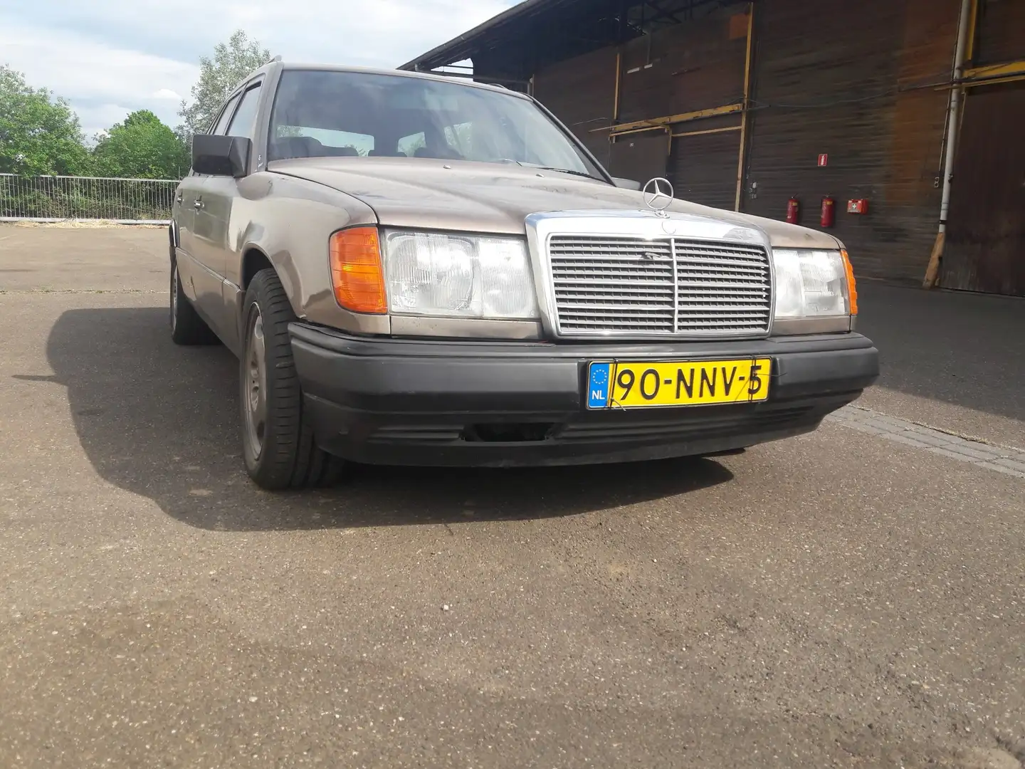 Mercedes-Benz 230 230T Maro - 2