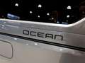Volkswagen Ocean eHybrid 4Motion / 245pk / Trekhaak / Argent - thumbnail 22