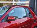 smart forTwo Fortwo EQ cabriolet | Leder Zwart | Comfort Plus P Rood - thumbnail 34