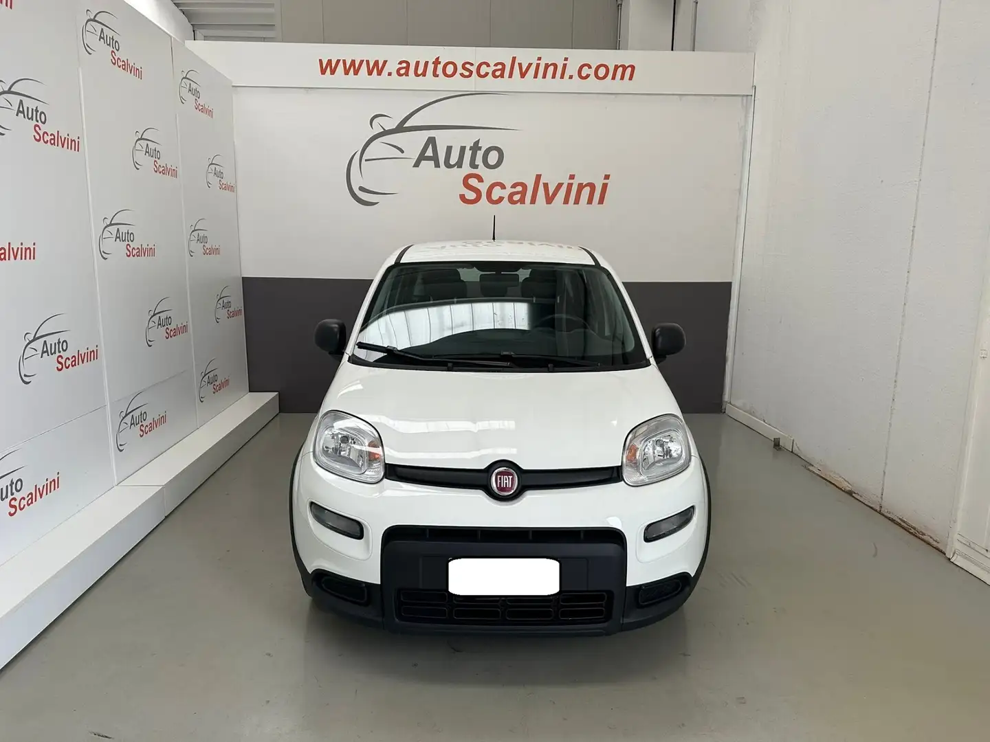 Fiat Panda Panda 1.0 FireFly S&S Hybrid City Life Bianco - 2