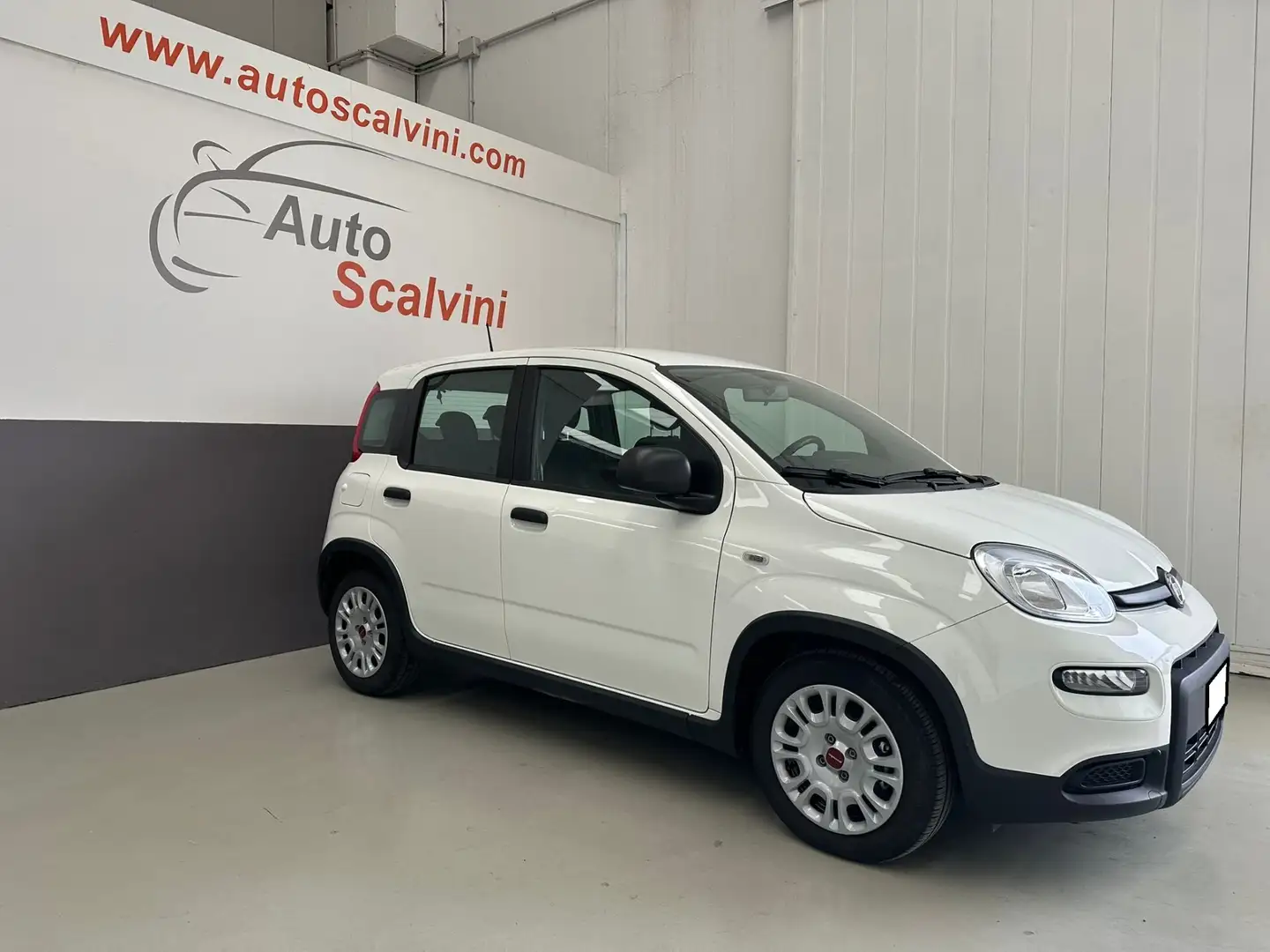 Fiat Panda Panda 1.0 FireFly S&S Hybrid City Life Bianco - 1