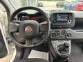 Fiat Panda Panda 1.0 FireFly S&S Hybrid City Life Blanc - thumbnail 8