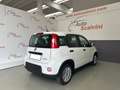 Fiat Panda Panda 1.0 FireFly S&S Hybrid City Life Blanc - thumbnail 7