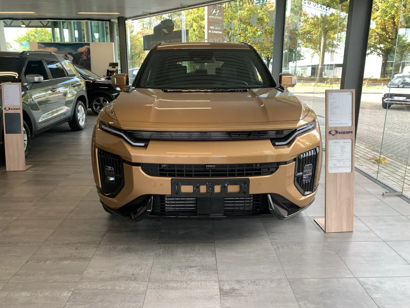 SsangYong Actyon ACTYON **NIEUW - FULL OPTION** Bronze - 2