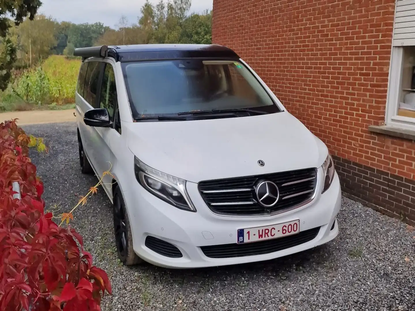 Mercedes-Benz Marco Polo Marco Polo 250 d Blanc - 1