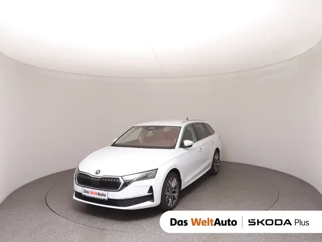 2026 Skoda Octavia in White for sale