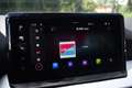 SEAT Ibiza TSI 116PK DSG FR-SPORT CAMERA/ACC/CARPLAY Zwart - thumbnail 25